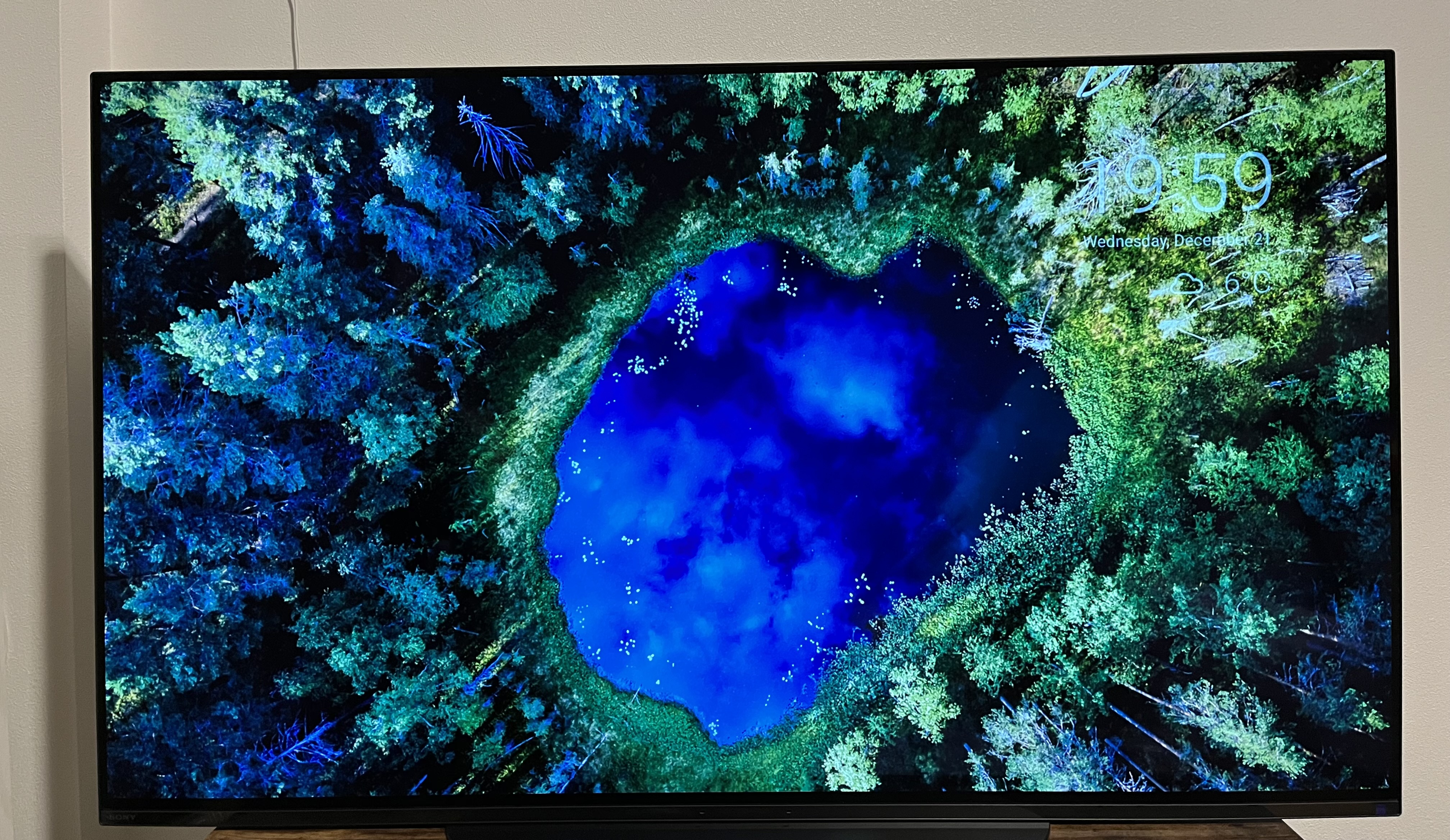 発色のきれいさを写真に収めるのが難しい